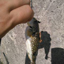 レガーメ　牙突